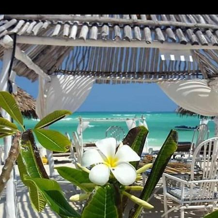 Apartament Luxury Simba House In Watamu ☆☆☆☆☆ Zewnętrze zdjęcie
